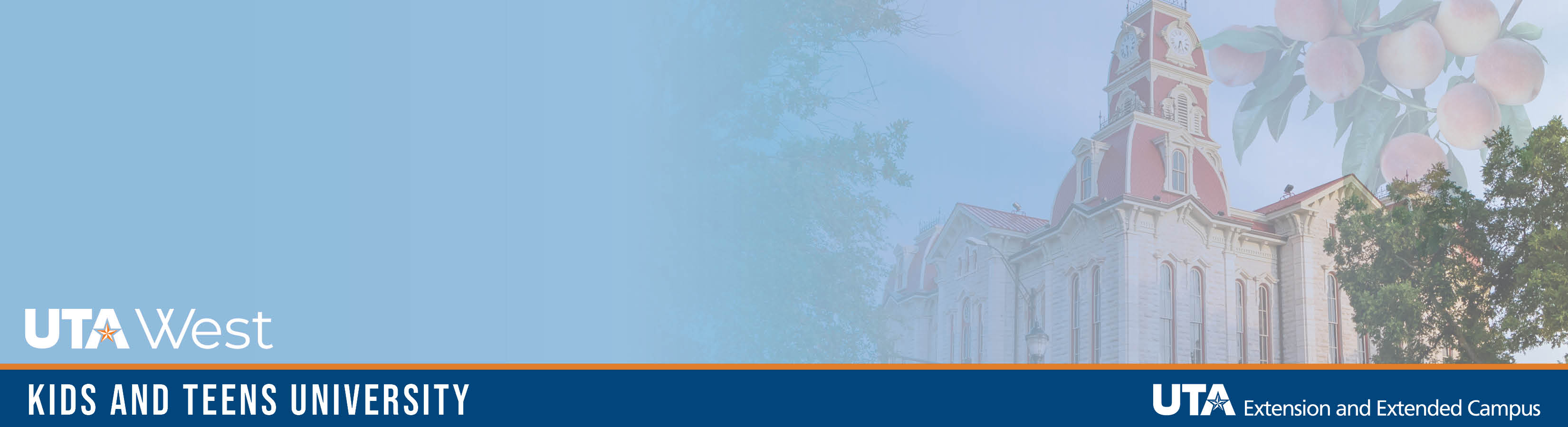 Parker County Professional Development banner